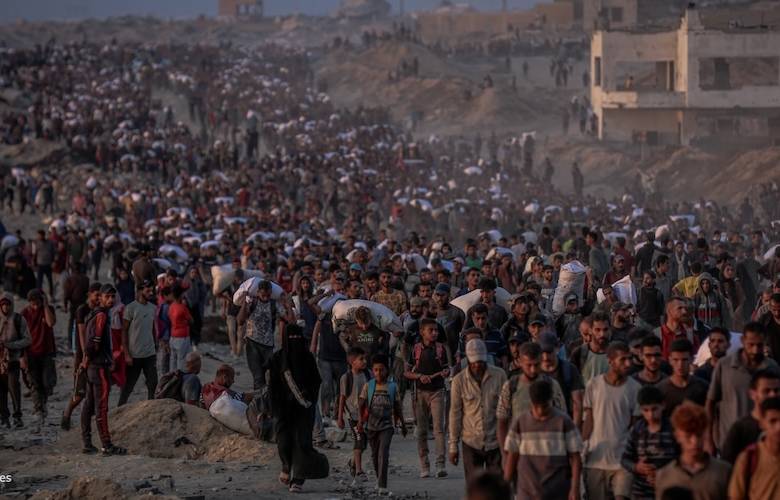 Vida y vida ciudadana