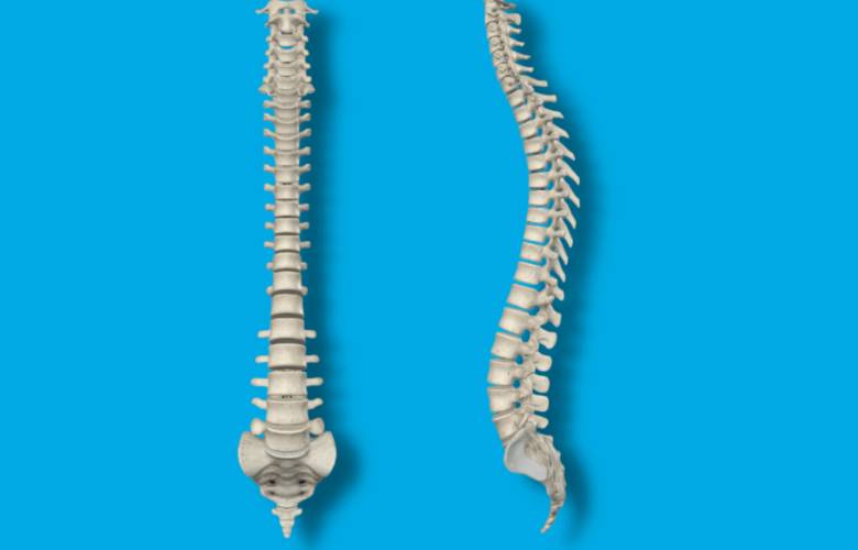 Día de la columna vertebral
