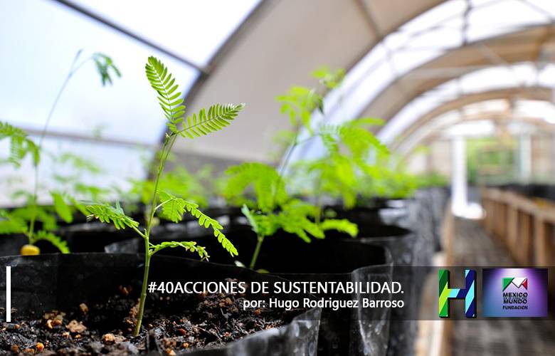 40 Acciones de Sustentabilidad