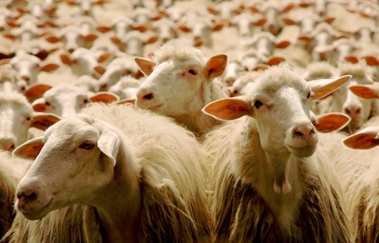 La transvaloración de lo ciudadano